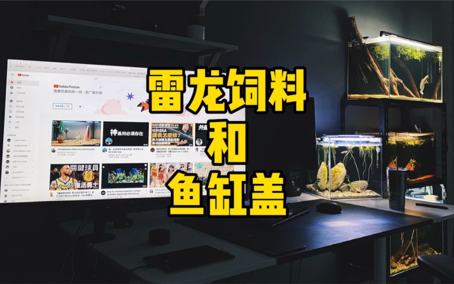 有哪些人工飼料適合龍魚？，龍魚人工飼料選購對比表