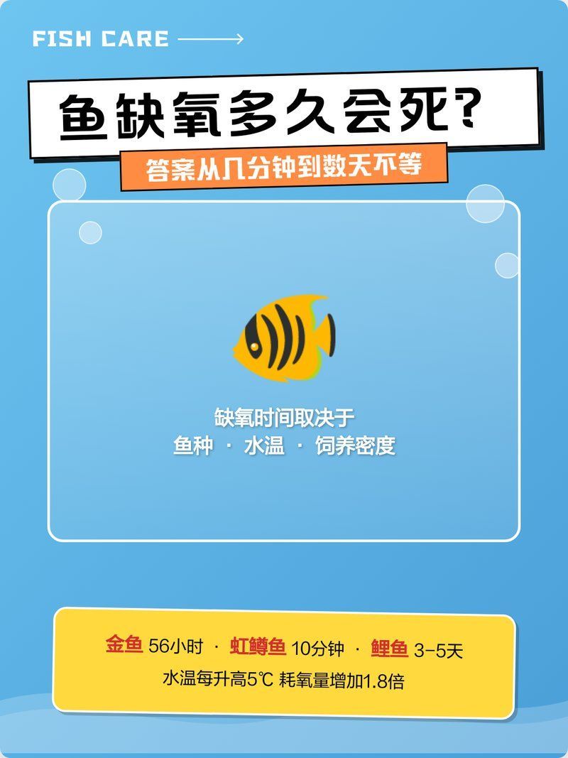 清遠龍魚的最佳喂食時間，清遠龍魚的最佳喂食時間是多少？
