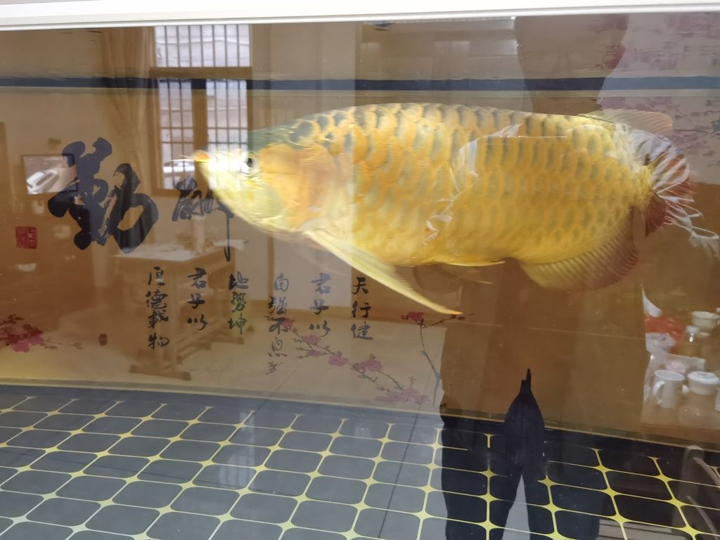 ，全球變暖對海洋生態系統影響的關鍵
