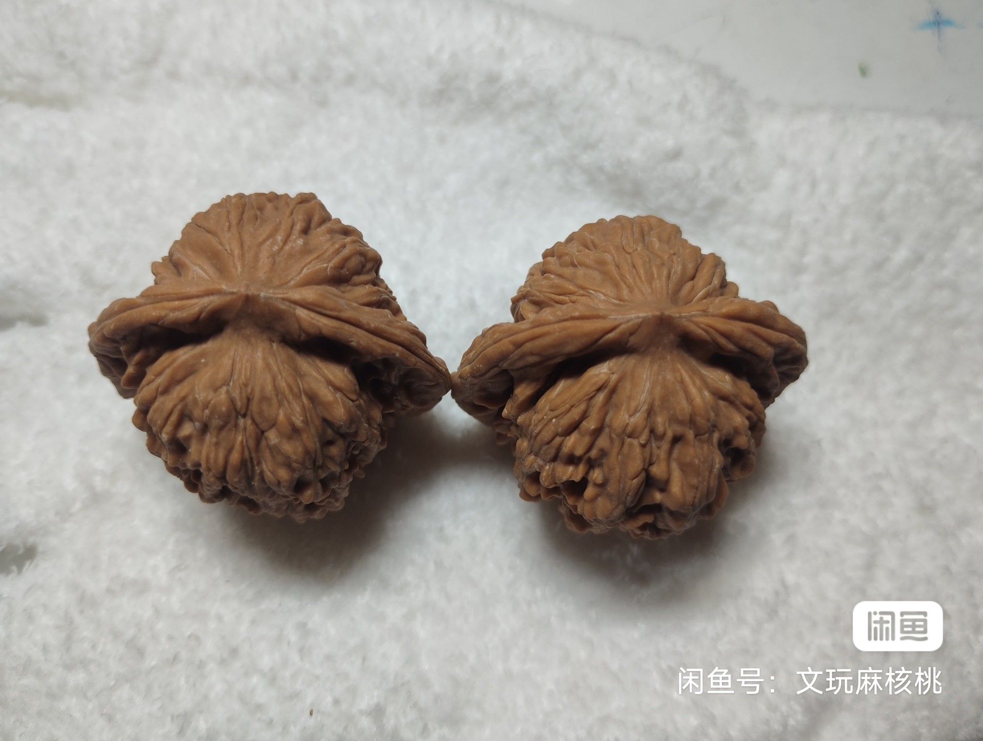 全品四座樓，“全品四座樓”可能指的是一個具有四個樓層的建筑