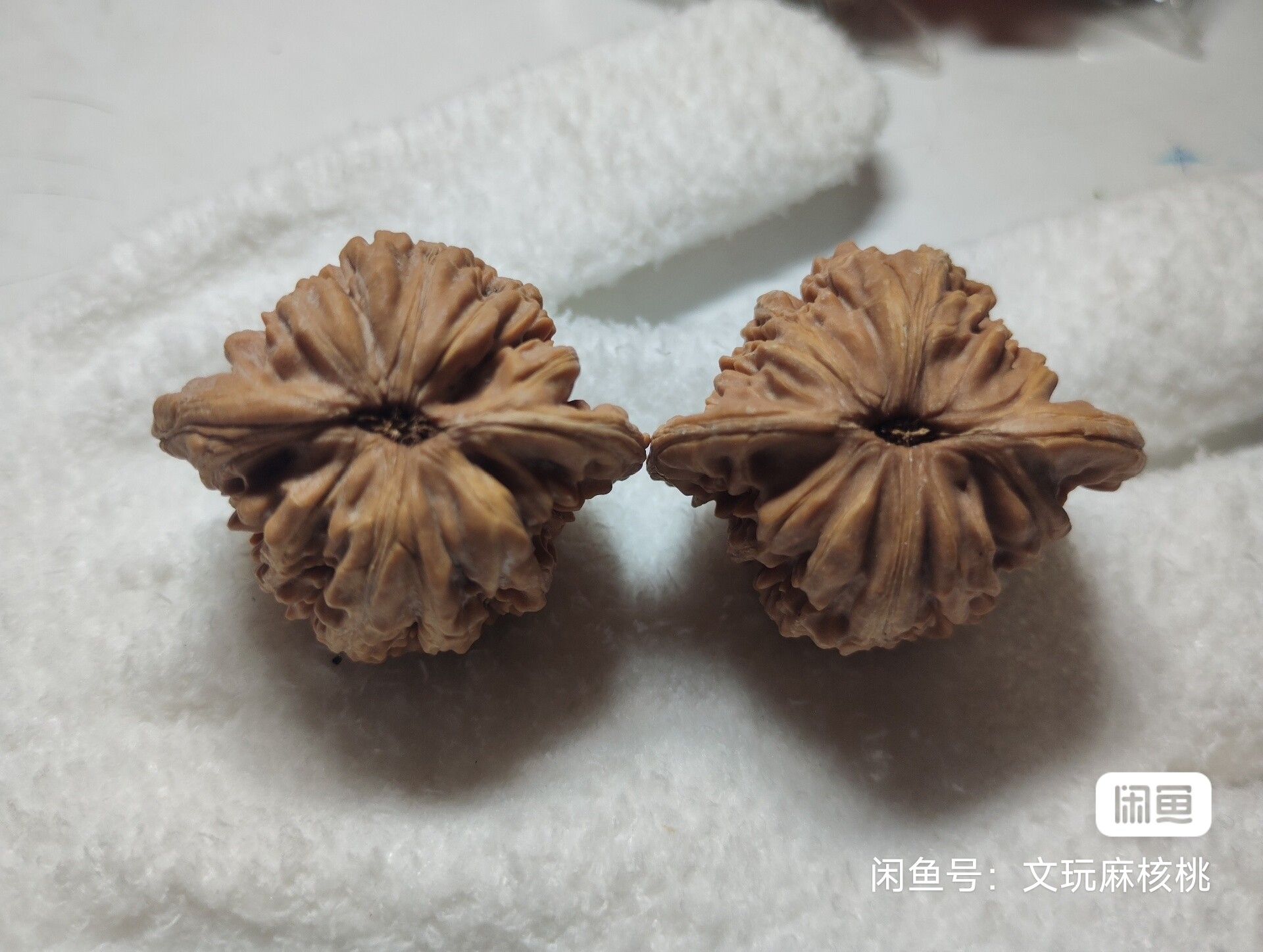 全品四座樓，“全品四座樓”可能指的是一個具有四個樓層的建筑