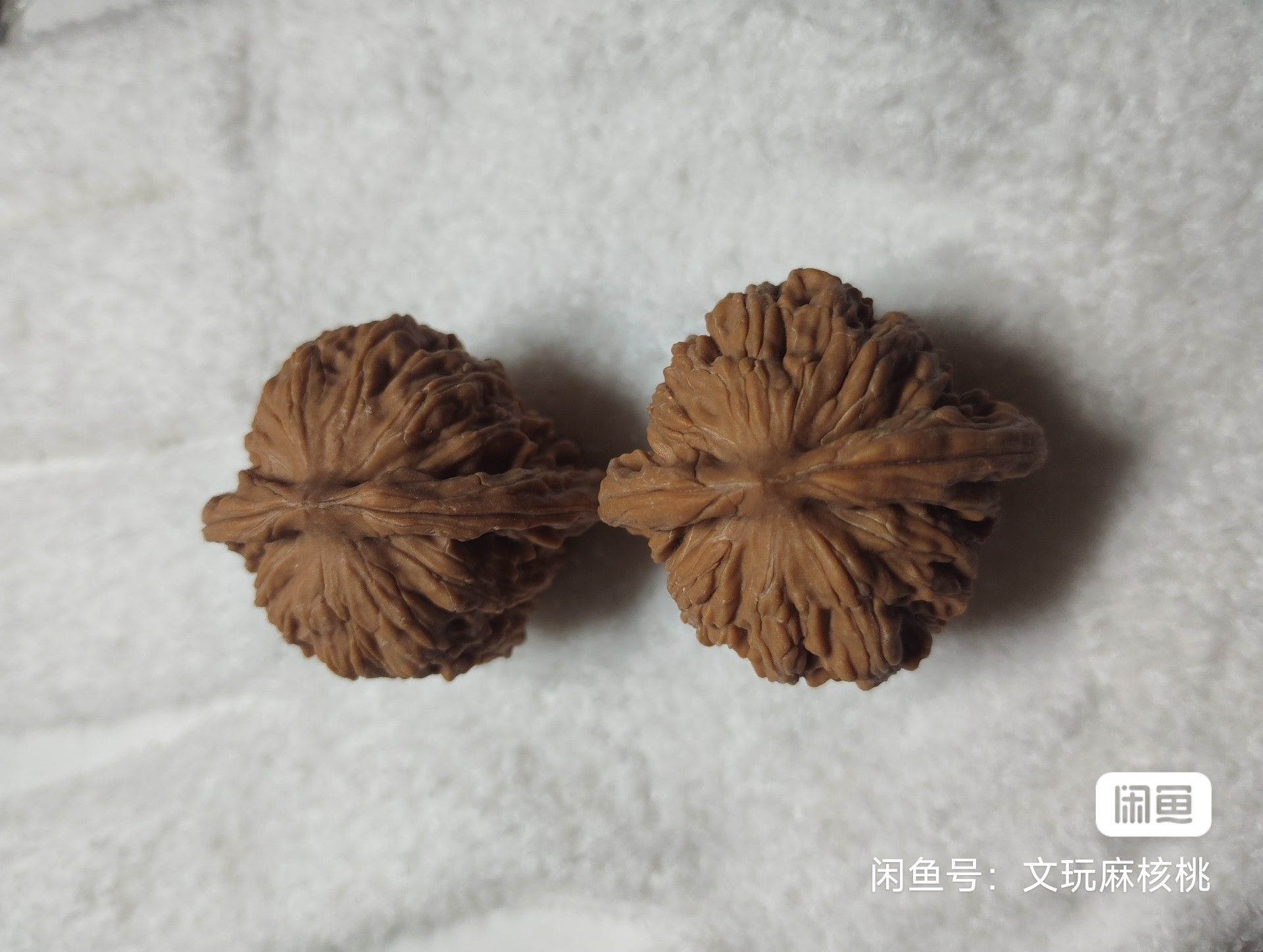 全品四座樓，“全品四座樓”可能指的是一個具有四個樓層的建筑