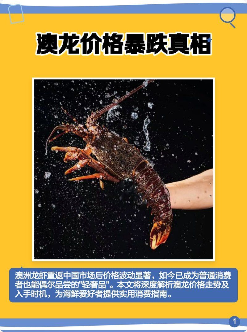 澳龍的價格一般是多少，普吉島拉威海鮮市場澳龍價格大揭秘澳龍的運輸和保存過程