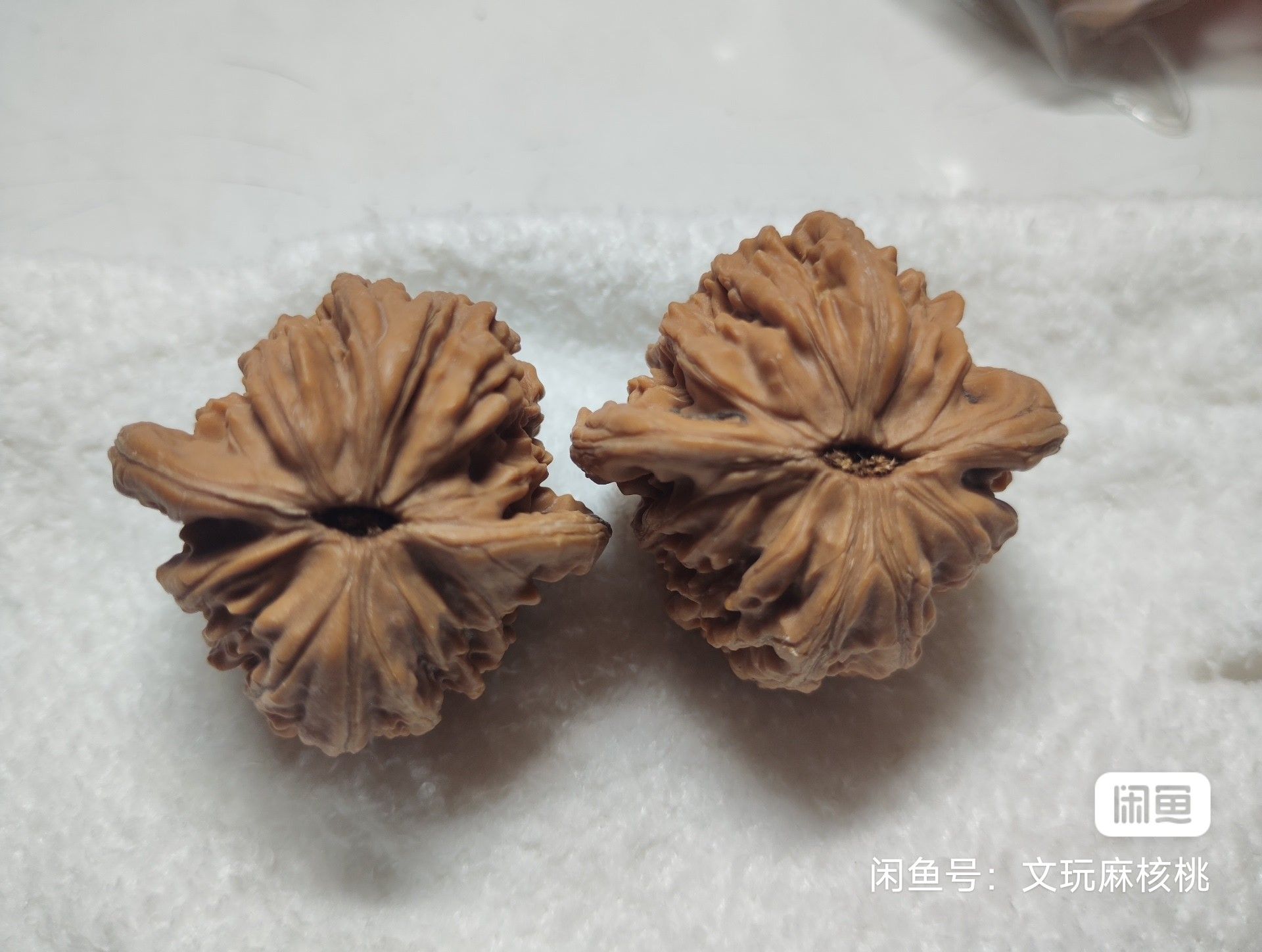 福利，手慢無，四座樓核桃一對，全品無修，骨質好