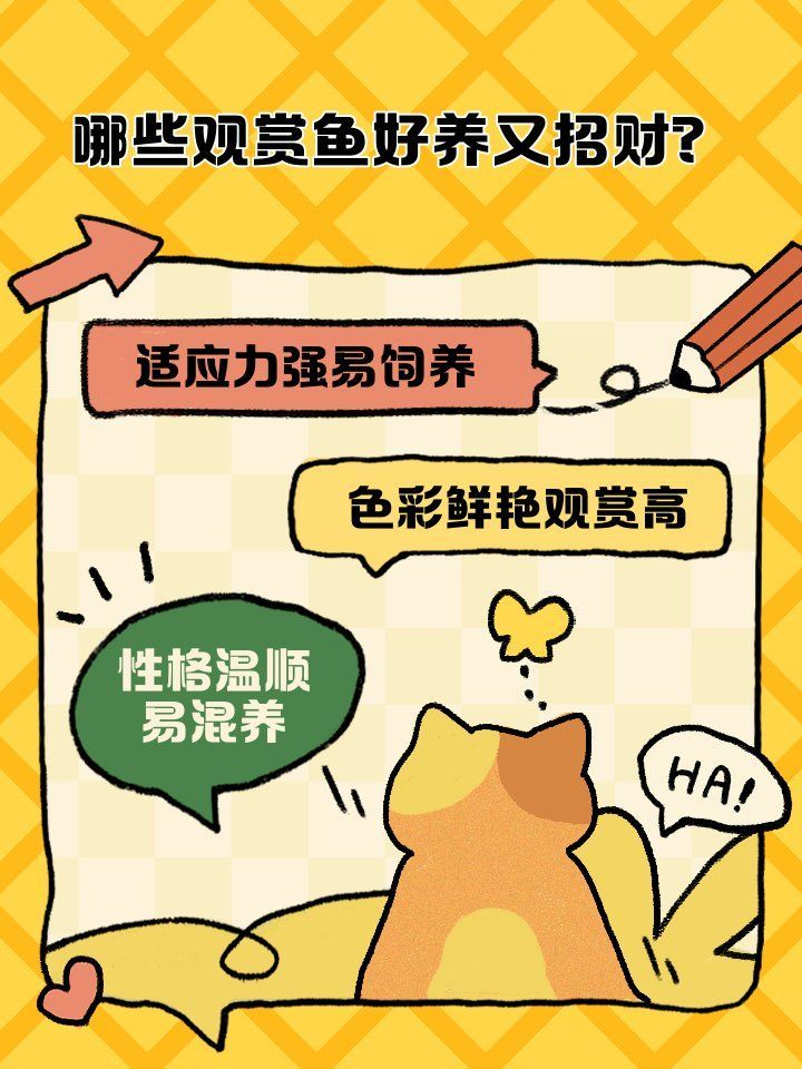 如何挑選最招財的魚品種，最具招財潛力的幾類魚種