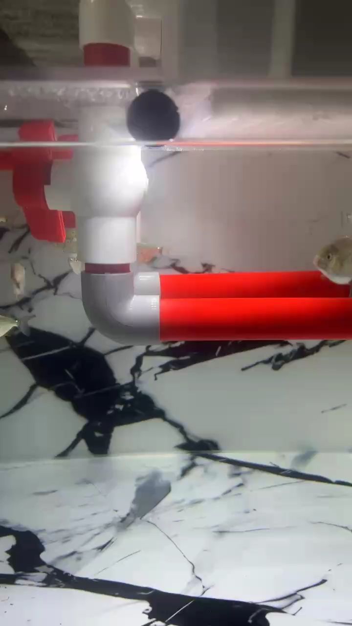 ，ai技術在教育領域的應用現狀
