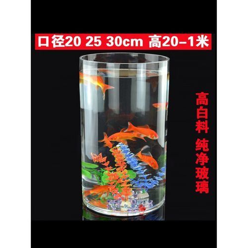 有哪些適合客廳的圓柱形魚(yú)缸，客廳擺放一個(gè)圓柱形魚(yú)缸不僅能增添室內(nèi)裝飾美感還能為家居環(huán)境帶來(lái)生機(jī)與活力
