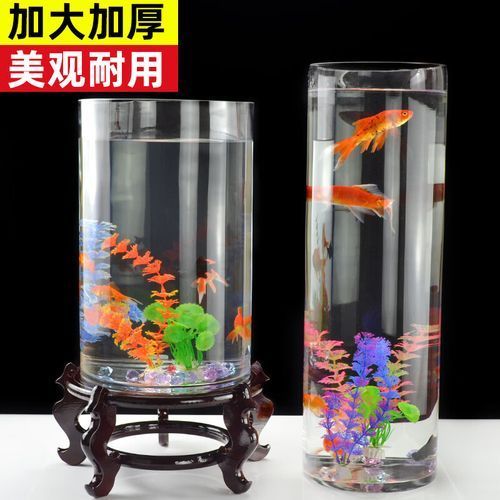 有哪些適合客廳的圓柱形魚(yú)缸，客廳擺放一個(gè)圓柱形魚(yú)缸不僅能增添室內(nèi)裝飾美感還能為家居環(huán)境帶來(lái)生機(jī)與活力