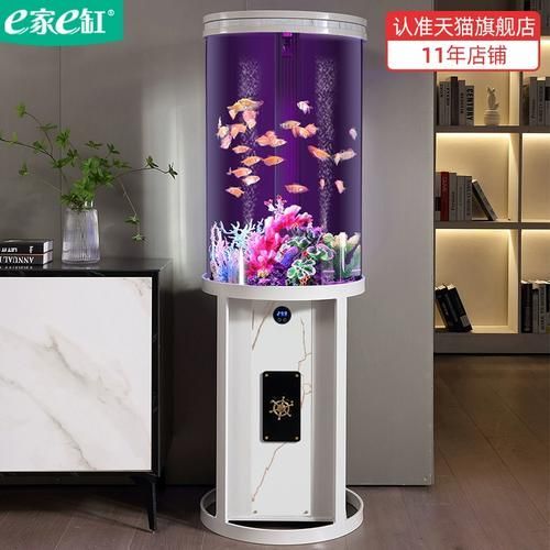 有哪些適合客廳的圓柱形魚(yú)缸，客廳擺放一個(gè)圓柱形魚(yú)缸不僅能增添室內(nèi)裝飾美感還能為家居環(huán)境帶來(lái)生機(jī)與活力