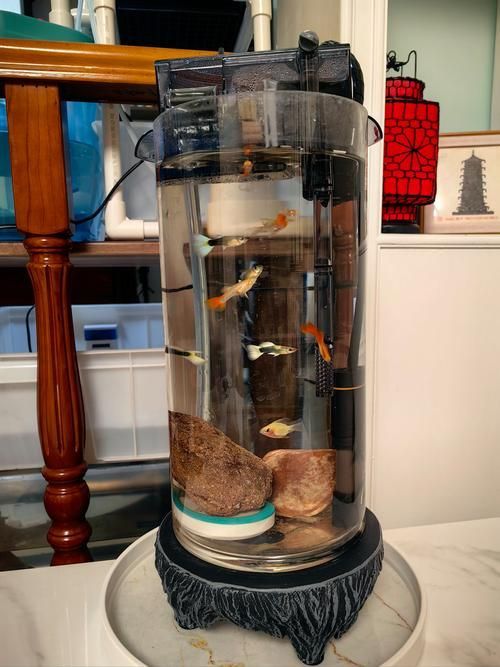 有哪些適合客廳的圓柱形魚(yú)缸，客廳擺放一個(gè)圓柱形魚(yú)缸不僅能增添室內(nèi)裝飾美感還能為家居環(huán)境帶來(lái)生機(jī)與活力