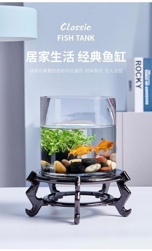 有哪些適合客廳的圓柱形魚(yú)缸，客廳擺放一個(gè)圓柱形魚(yú)缸不僅能增添室內(nèi)裝飾美感還能為家居環(huán)境帶來(lái)生機(jī)與活力