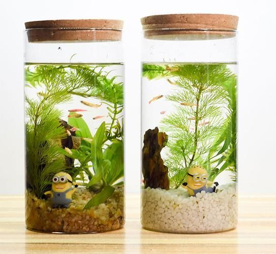 有哪些適合客廳的圓柱形魚(yú)缸，客廳擺放一個(gè)圓柱形魚(yú)缸不僅能增添室內(nèi)裝飾美感還能為家居環(huán)境帶來(lái)生機(jī)與活力