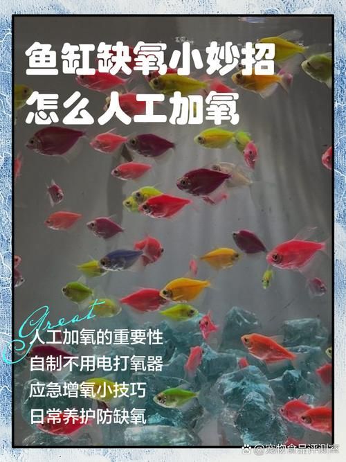 給我一些預(yù)防魚缺氧的圖片，冬季魚塘缺氧如何應(yīng)急處理