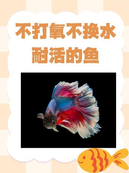 給我一些預(yù)防魚缺氧的圖片，冬季魚塘缺氧如何應(yīng)急處理