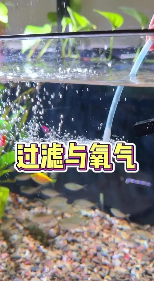 給我一些預(yù)防魚缺氧的圖片，冬季魚塘缺氧如何應(yīng)急處理
