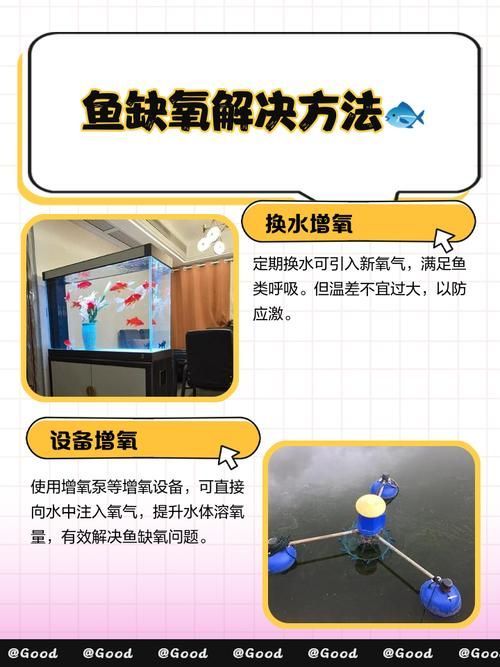 給我一些預(yù)防魚缺氧的圖片，冬季魚塘缺氧如何應(yīng)急處理