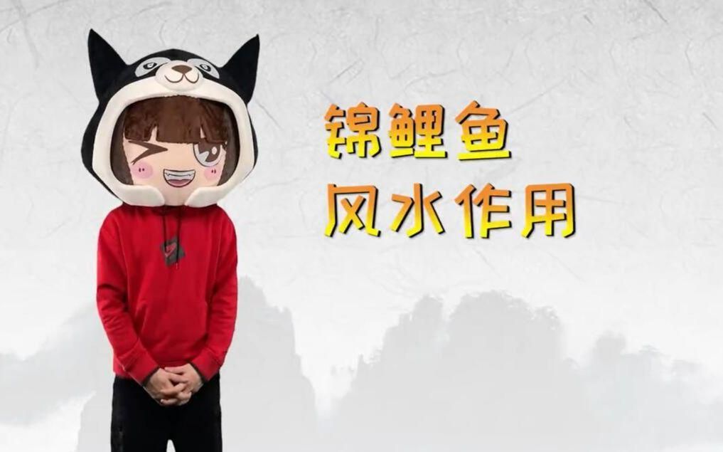 魚在玄學中代表什么，魚在風水中的擺放禁忌