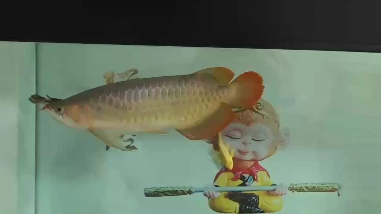 漂亮，“漂亮”是什么意思