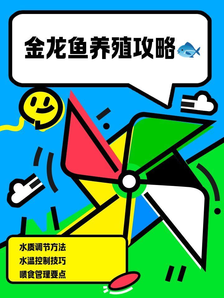 能給出更多養金龍魚的技巧嗎，養殖金龍魚的技巧