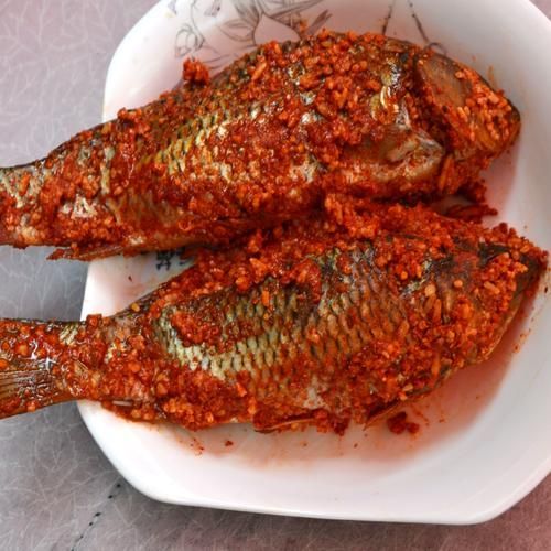 貴州龍魚的釀造工藝是怎樣的？，貴州龍魚的發酵工藝 貴州龍魚的釀造工藝是怎樣的？，貴州龍魚的發酵工藝 龍魚百科 第5張