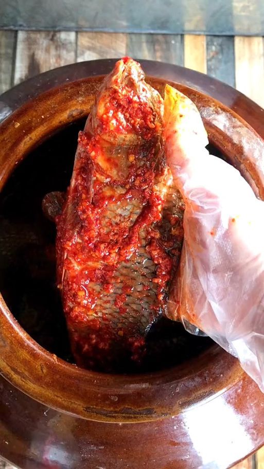 貴州龍魚的釀造工藝是怎樣的？，貴州龍魚的發酵工藝 貴州龍魚的釀造工藝是怎樣的？，貴州龍魚的發酵工藝 龍魚百科 第3張