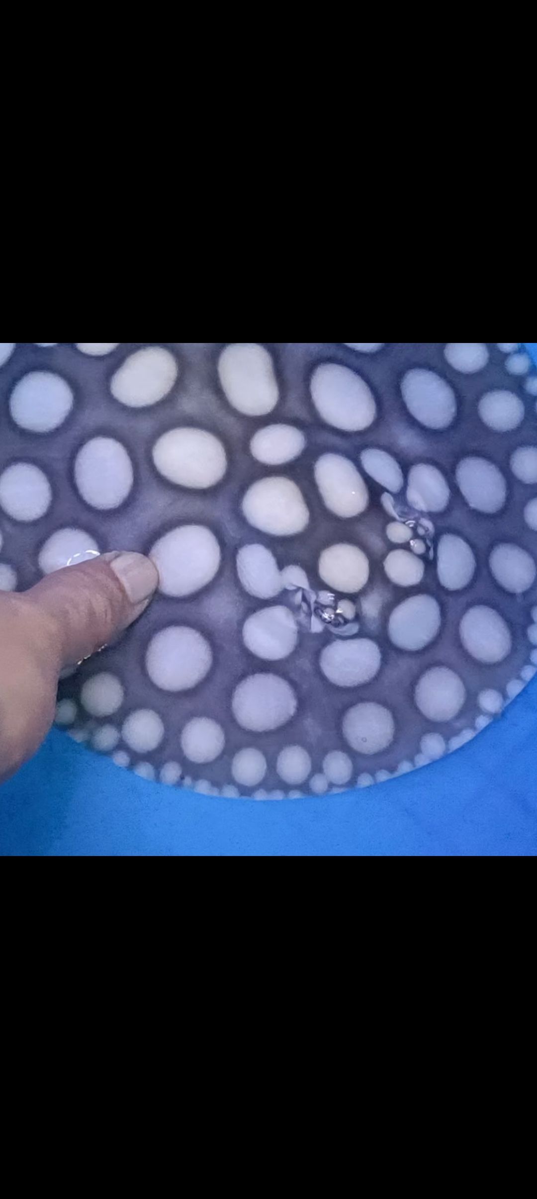 早安，早安，世界在這個寧靜的清晨，伴隨著第一縷陽光的溫柔觸摸