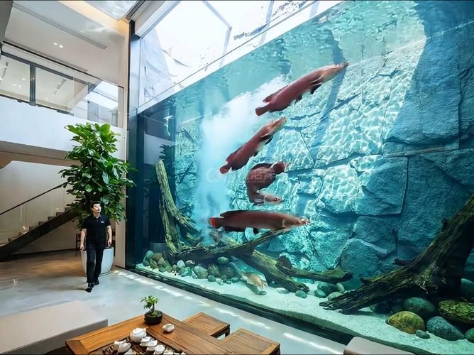 哪些魚缸適合養兇猛觀賞魚？，兇猛觀賞魚的選擇