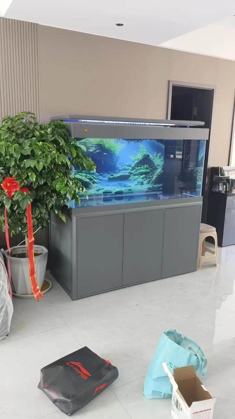 魚之家生態龍魚缸有哪些顏色可選？，魚之家生態龍魚缸提供多種顏色選擇適合龍魚的魚缸顏色