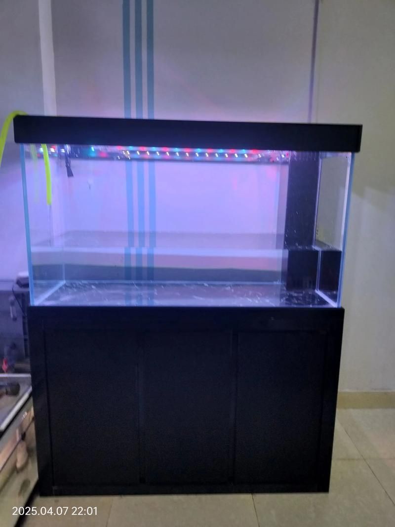 魚之家生態龍魚缸有哪些顏色可選？，魚之家生態龍魚缸提供多種顏色選擇適合龍魚的魚缸顏色