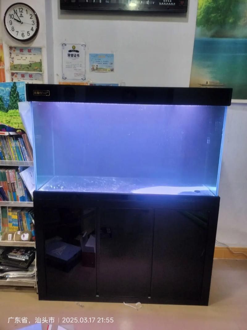 魚之家生態龍魚缸有哪些顏色可選？，魚之家生態龍魚缸提供多種顏色選擇適合龍魚的魚缸顏色