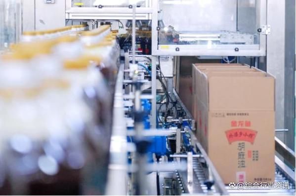 金龍魚近期有無重大投資計劃？，金龍魚2026年財務狀況如何？