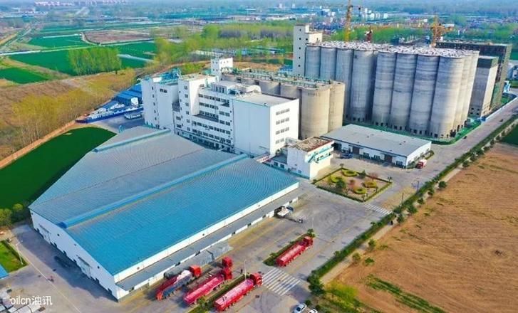 金龍魚近期有無重大投資計劃？，金龍魚2026年財務狀況如何？