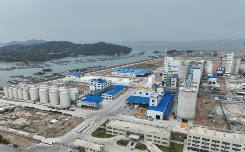 金龍魚近期有無重大投資計劃？，金龍魚2026年財務狀況如何？