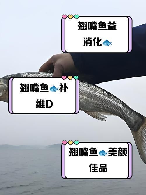 紅尾魚和翹嘴魚哪個更有營養價值，紅尾魚和翹嘴魚哪個好吃