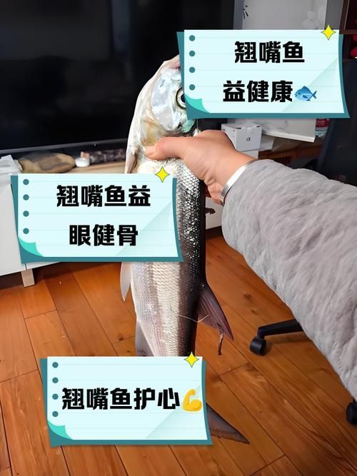 紅尾魚和翹嘴魚哪個更有營養價值，紅尾魚和翹嘴魚哪個好吃