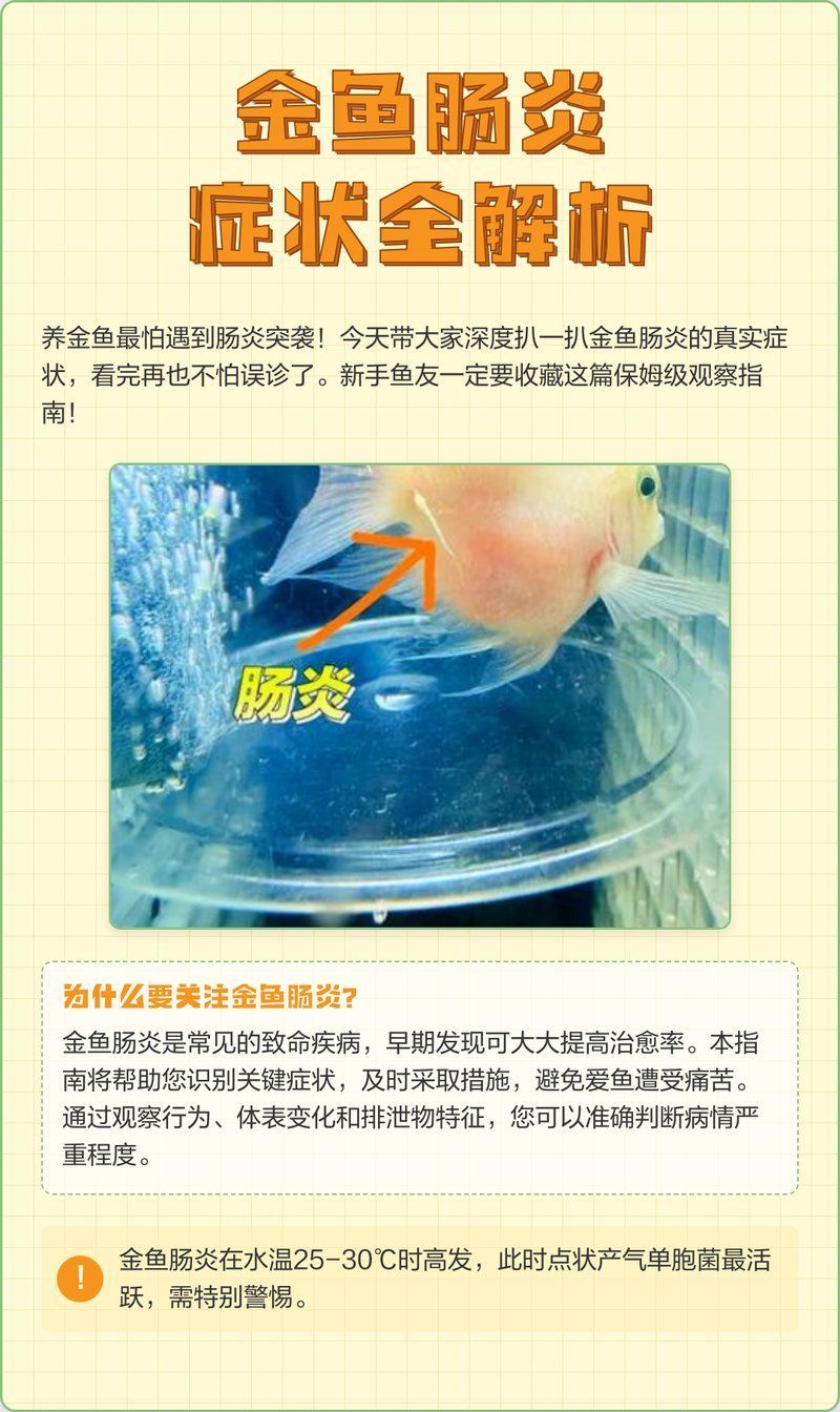 魚腸炎的晚期癥狀有哪些，腸炎的晚期癥狀可能包括：食欲減退或喪失
