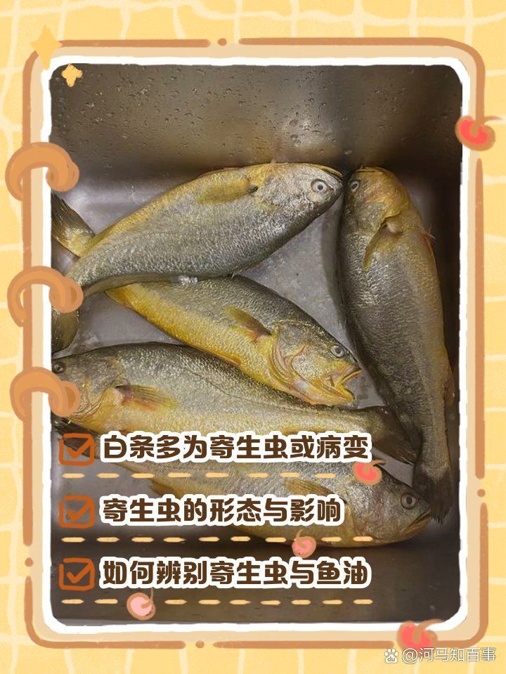 魚身上白色條狀寄生蟲，魚身上白色條狀寄生蟲形態寄生蟲形態寄生蟲的科學信息 魚身上白色條狀寄生蟲，魚身上白色條狀寄生蟲形態寄生蟲形態寄生蟲的科學信息 龍魚百科 第3張