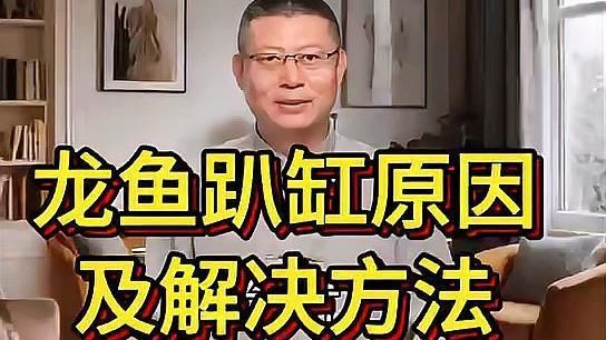 如何判斷龍魚趴缸的具體原因