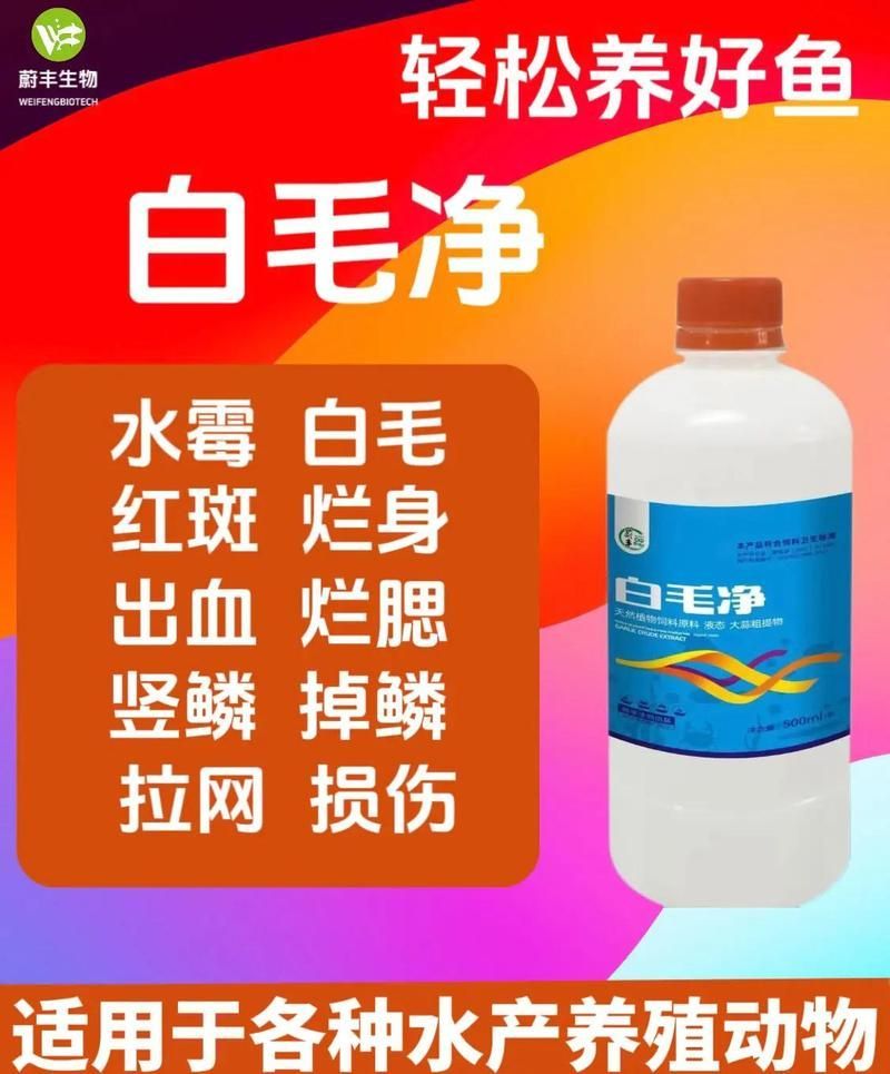 如何預防龍魚水霉病的發生？，arxiv論文助手工具arxiv論文助手工具arxiv論文助手