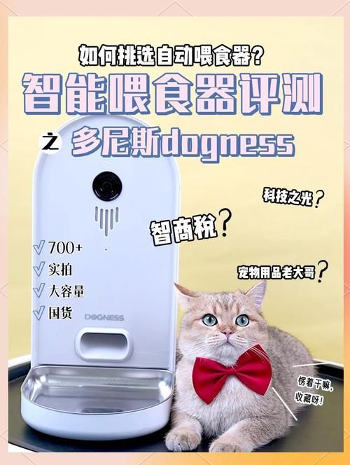 有哪些寵物喂食工具推薦，喂食工具的選擇對于確保寵物的健康和幸福至關(guān)重要