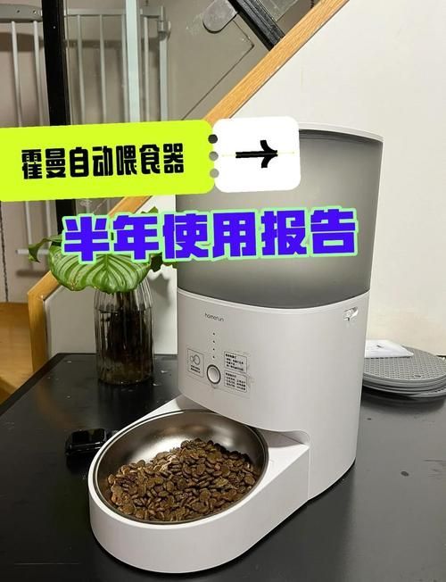 有哪些寵物喂食工具推薦，喂食工具的選擇對于確保寵物的健康和幸福至關(guān)重要