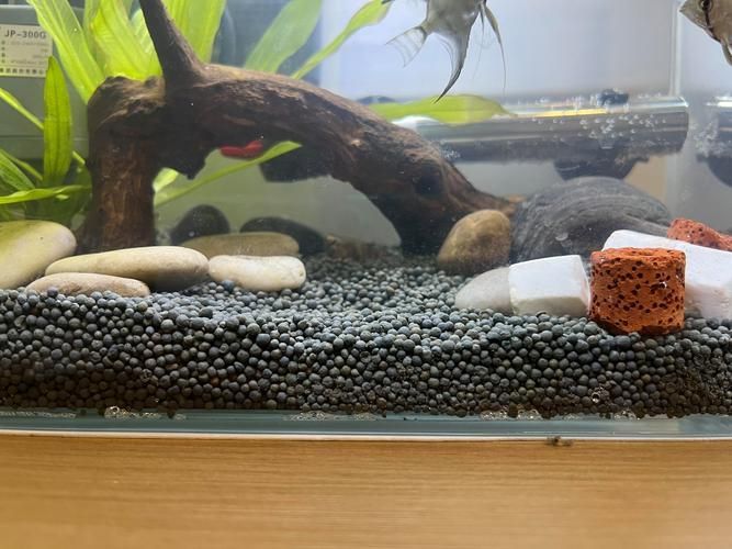 如何判斷龍魚魚缸的質(zhì)量？，如何判斷龍魚魚缸的質(zhì)量