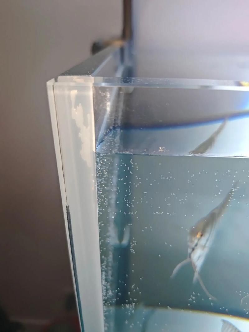 如何判斷龍魚魚缸的質(zhì)量？，如何判斷龍魚魚缸的質(zhì)量