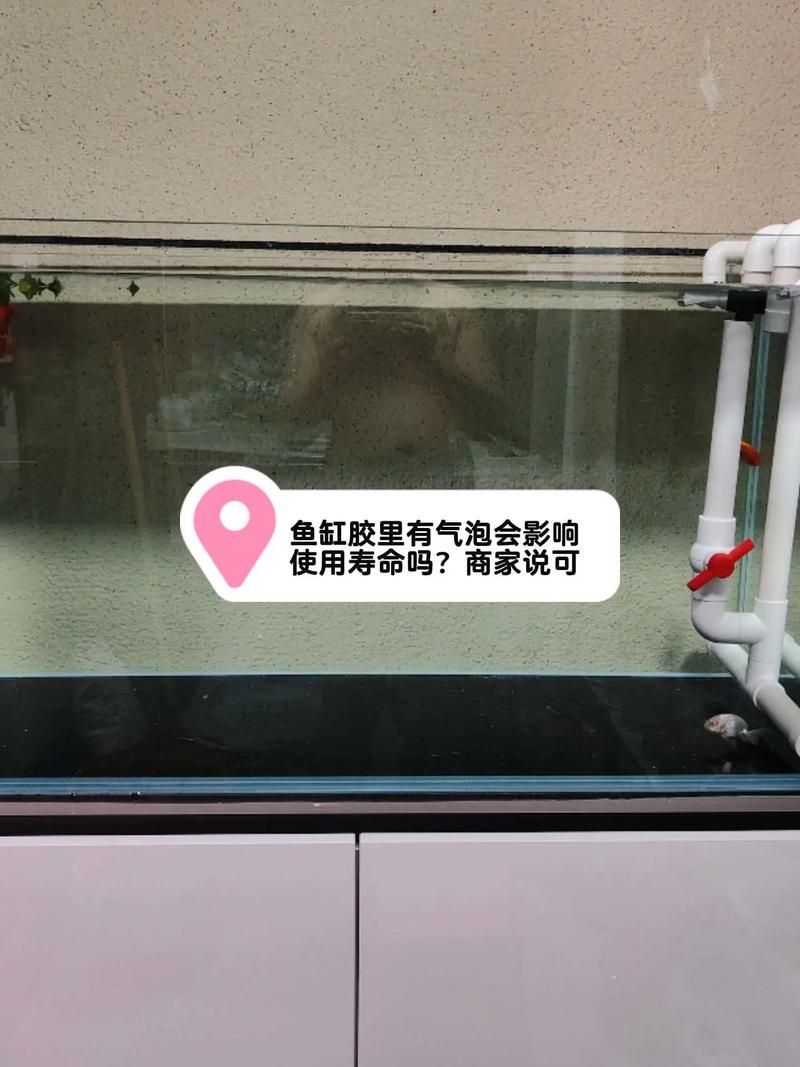 如何判斷龍魚魚缸的質(zhì)量？，如何判斷龍魚魚缸的質(zhì)量
