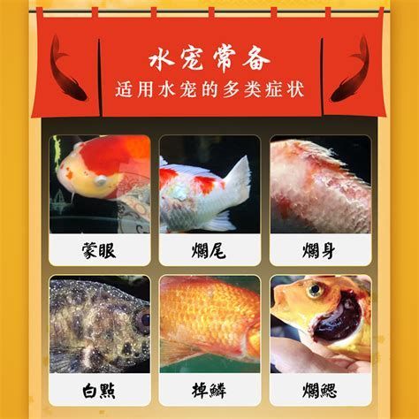 魚蒙眼病能自愈嗎，魚蒙眼病是否能自愈