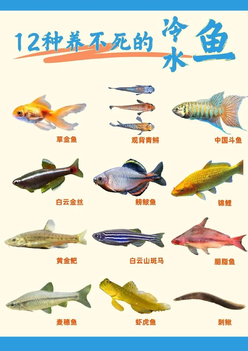十大養不死的淡水魚有哪些圖片，十大耐養淡水魚圖片