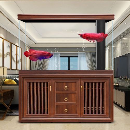 還有哪些龍魚魚缸品牌值得推薦？，備受推崇的龍魚魚缸品牌：海王星海王星海王星海王星