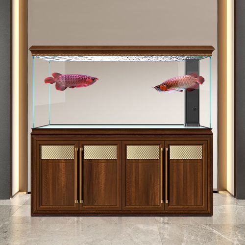 還有哪些龍魚魚缸品牌值得推薦？，備受推崇的龍魚魚缸品牌：海王星海王星海王星海王星