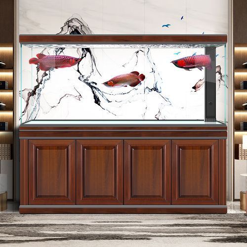 還有哪些龍魚魚缸品牌值得推薦？，備受推崇的龍魚魚缸品牌：海王星海王星海王星海王星