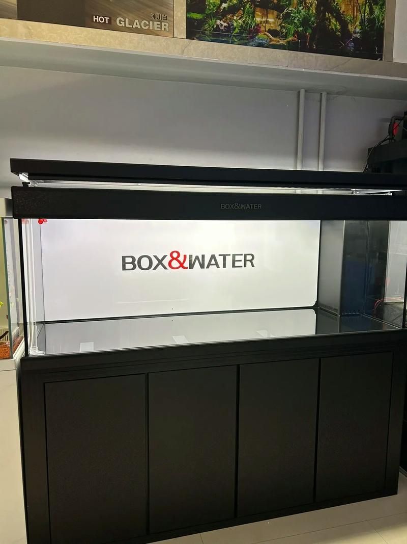 還有哪些龍魚魚缸品牌值得推薦？，備受推崇的龍魚魚缸品牌：海王星海王星海王星海王星